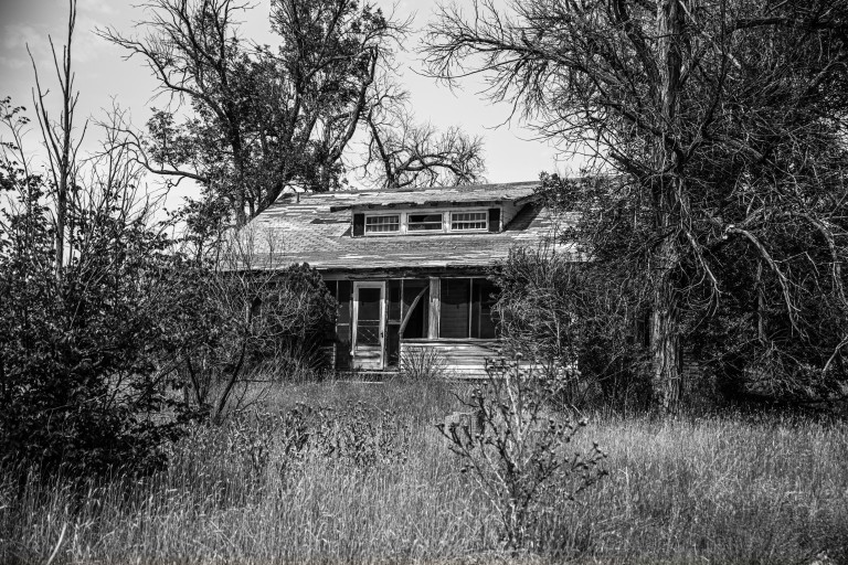 Hereford-102.jpg